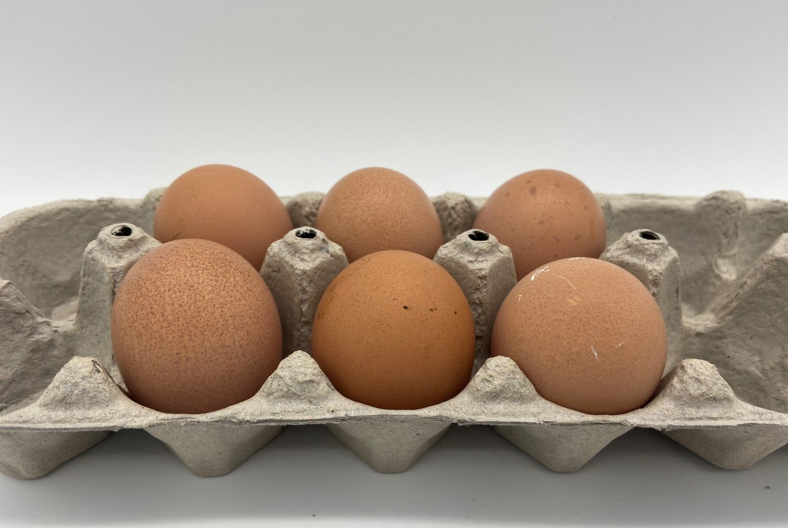 Brown Egger™ Hatching Eggs