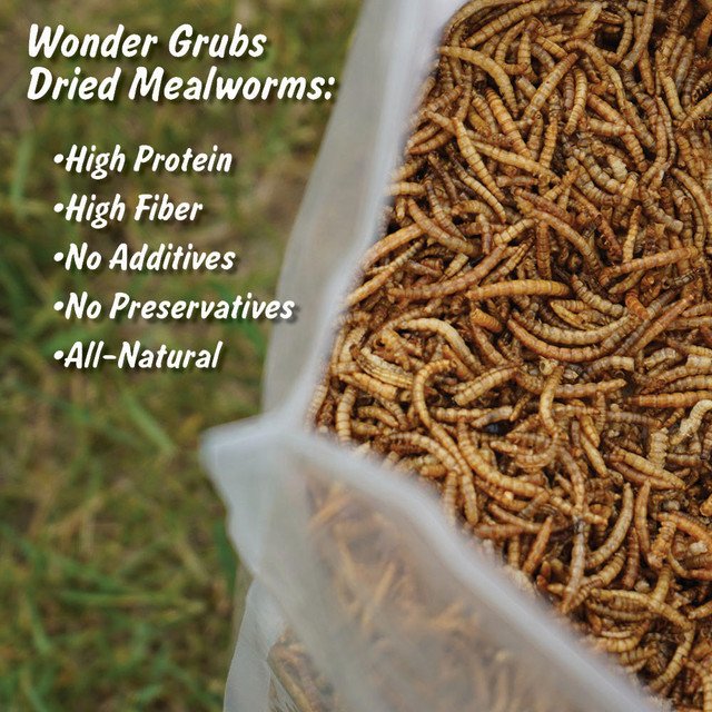 WONDER GRUBS (DRIED MEALWORMS) - 5 LB BAG - Image 3