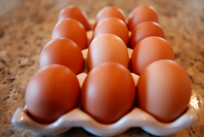 Rhode Island Red Hatching Eggs