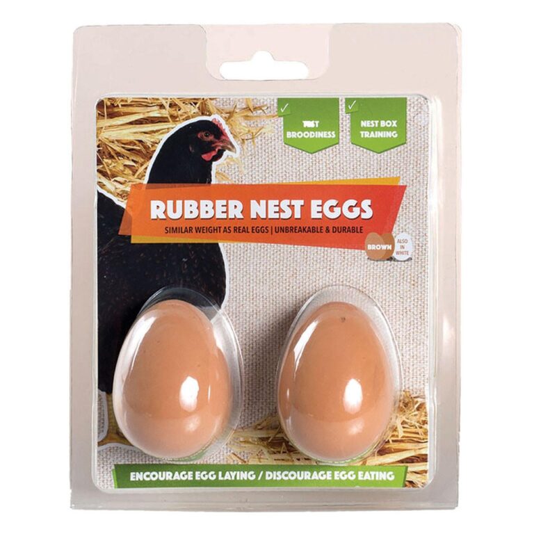 pp097-rubber-eggs-set-of-2__54721