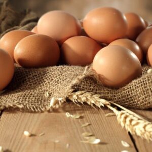 Rhode Island Red Chicken (Exhibition Type) Hatching Eggs